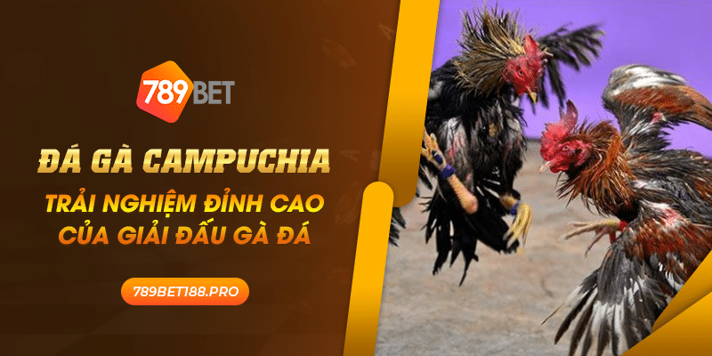 Da ga Campuchia Trai nghiem dinh cao cua giai dau ga da