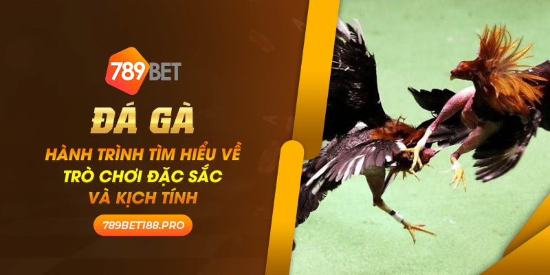 Da ga Hanh trinh tim hieu ve tro choi dac sac va kich tinh