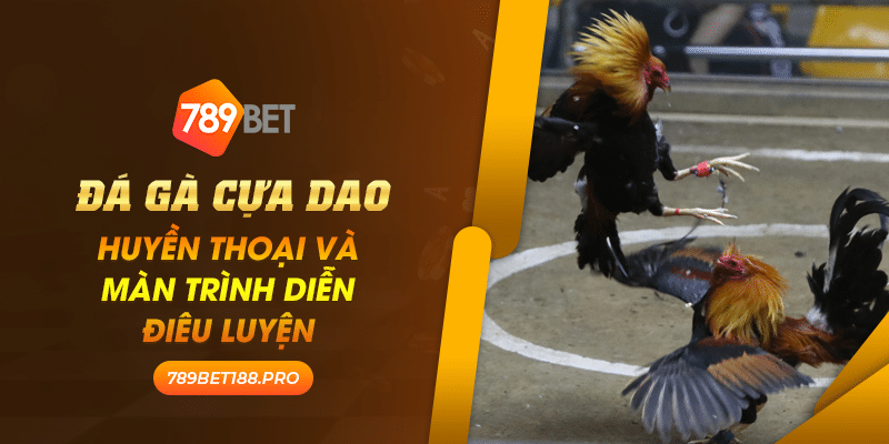 Da ga cua dao Huyen thoai va man trinh dien dieu luyen