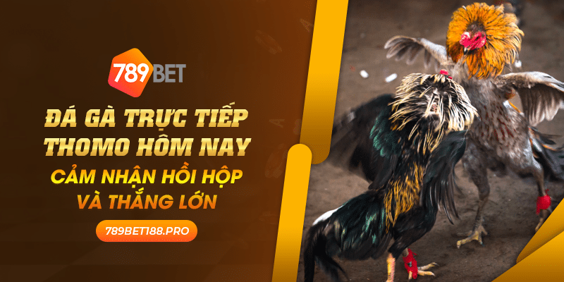 Da ga truc tiep Thomo hom nay Cam nhan hoi hop va thang lon