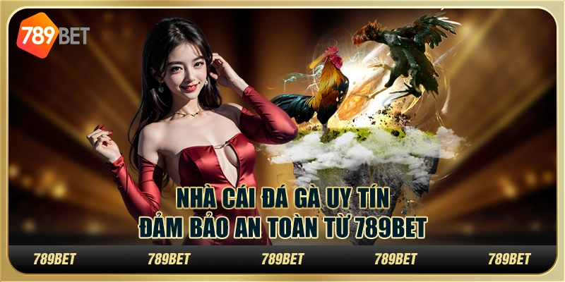 Nhà Cái Đá Gà Uy Tín, Đảm Bảo An Toàn Từ 789BET