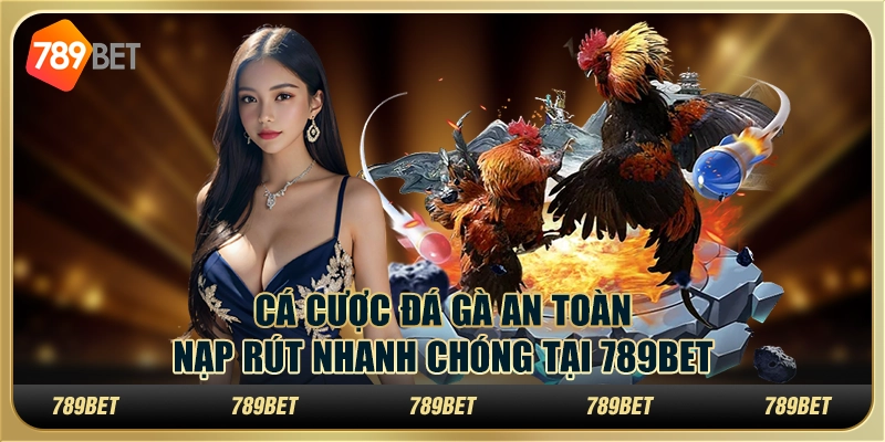 Cá Cược Đá Gà An Toàn, Nạp Rút Nhanh Chóng Tại 789BET