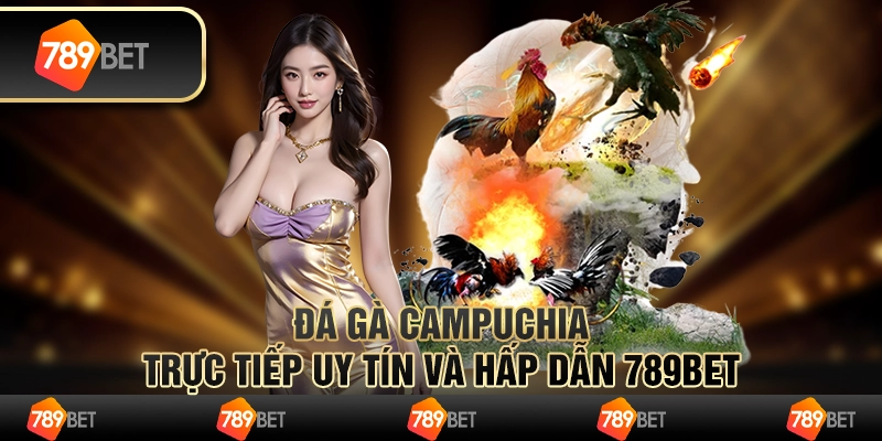 Đá Gà Campuchia Trực Tiếp Uy Tín Và Hấp Dẫn Cùng 789BET