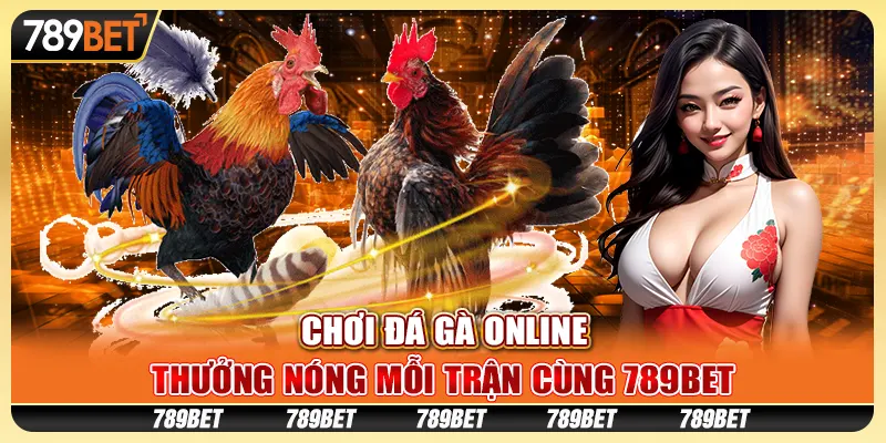 Chơi Đá Gà Online, Thưởng Nóng Mỗi Trận Cùng 789BET