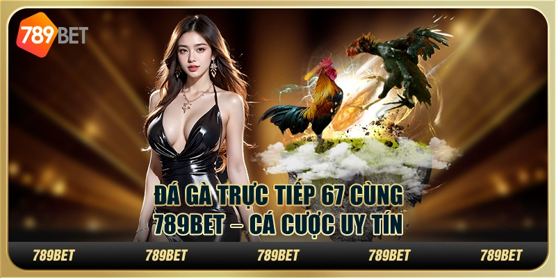 Đá Gà Trực Tiếp 67 Cùng 789BET – Cá Cược Uy Tín