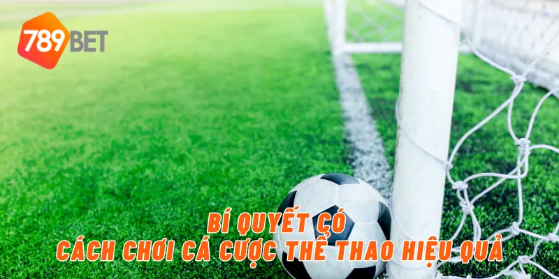 Bí quyết có cách chơi cá cược thể thao hiệu quả