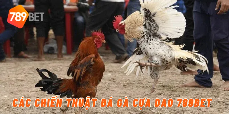 Các chiến thuật đá gà cựa dao 789BET
