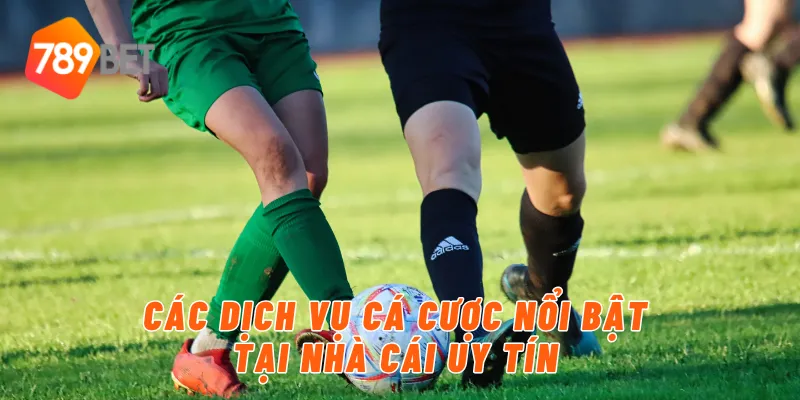 789BET – Nhà Cái Uy Tín Với Tỷ Lệ Cược Hấp Dẫn 3 Các dịch vụ cá cược nổi bật tại nhà cái uy tín