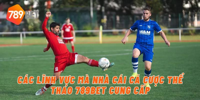 Các lĩnh vực mà nhà cái cá cược thể thao 789BET cung cấp
