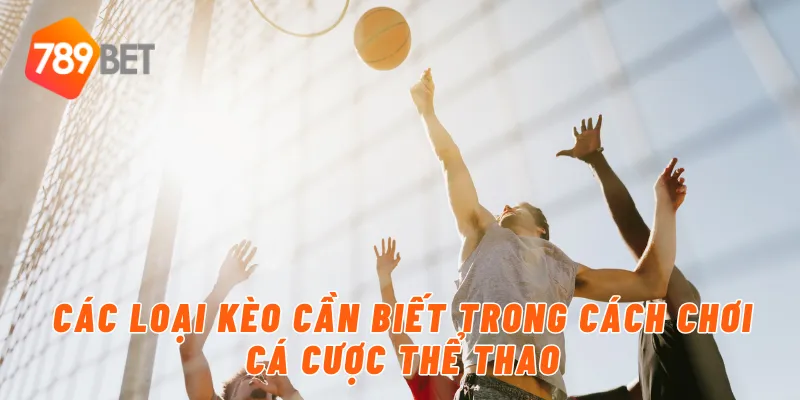 Các loại kèo cần biết trong cách chơi cá cược thể thao