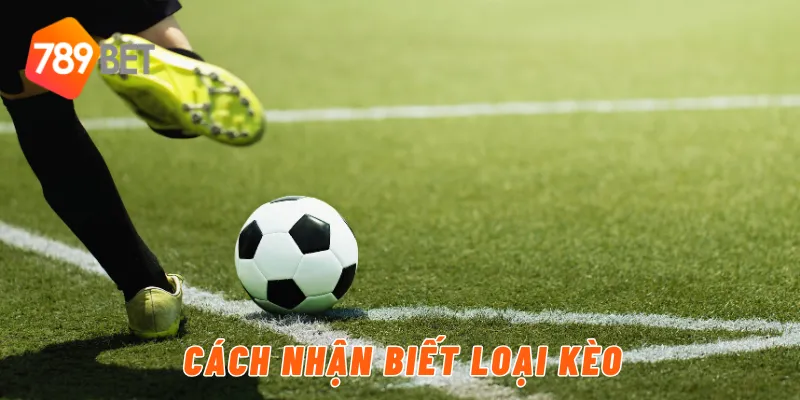 Cách nhận biết loại kèo