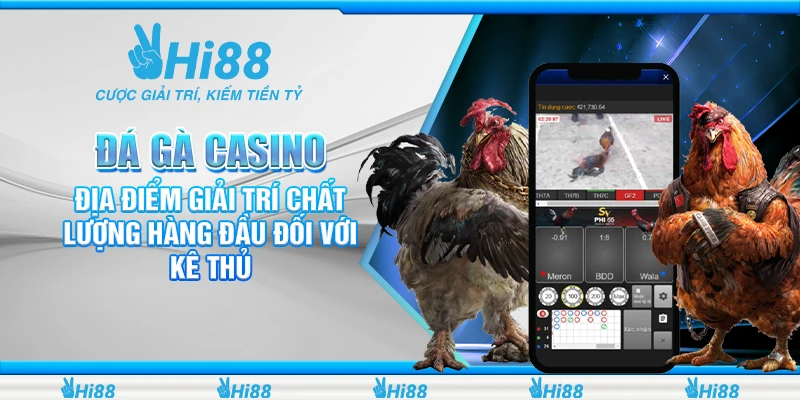 đá gà casino