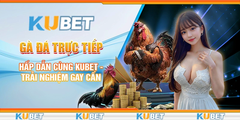 gà đá trực tiếp