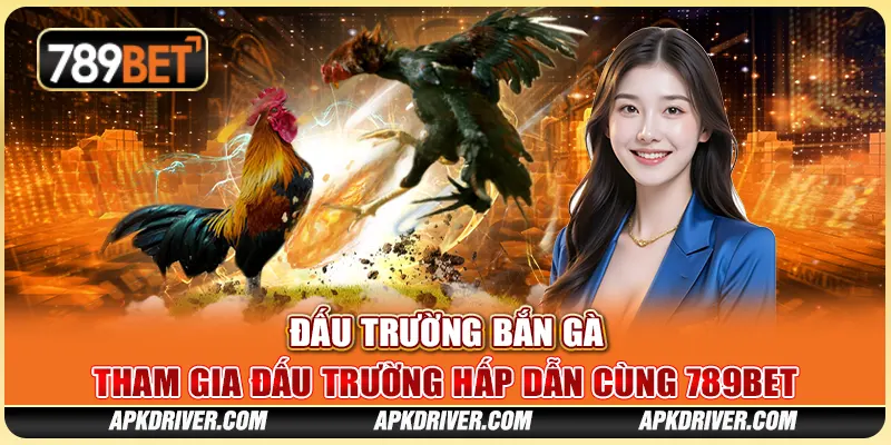 Đấu trường bắn gà – Tham gia đấu trường hấp dẫn cùng 789BET