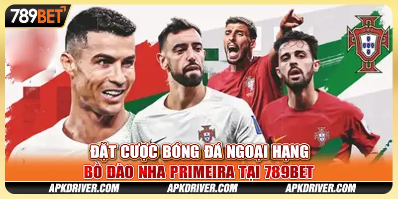 Đặt cược bóng đá Ngoại hạng Bồ Đào Nha Primeira tại 789BET 1 Đặt cược bóng đá Ngoại hạng Bồ Đào Nha Primeira tại 789BET