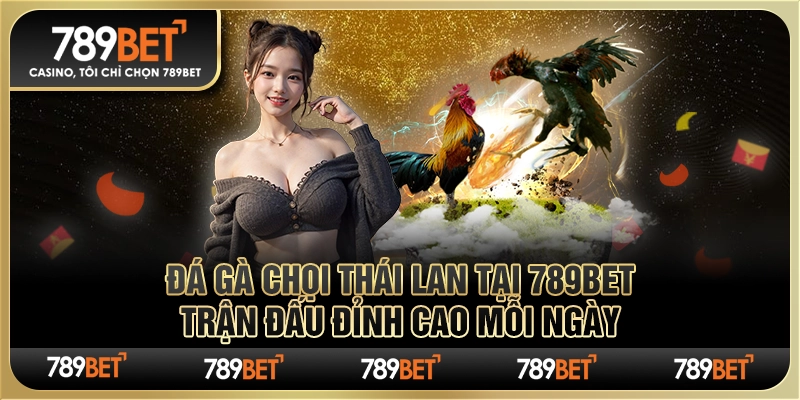 Đá Gà Chọi Thái Lan Tại 789Bet - Trận Đấu Đỉnh Cao Mỗi Ngày