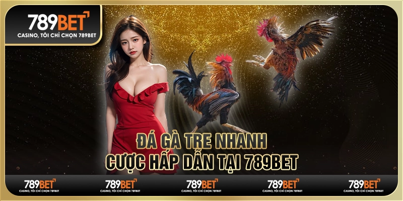 Đá Gà Tre Nhanh, Cược Hấp Dẫn Tại 789BET