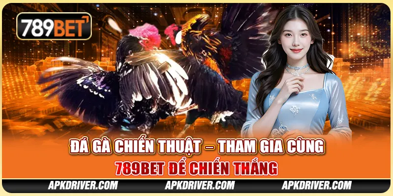 Đá Gà Chiến Thuật – Tham Gia Cùng 789BET Để Chiến Thắng