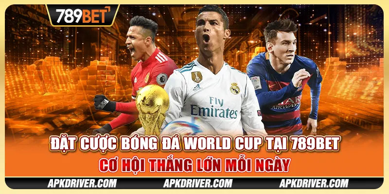 Đặt cược bóng đá World Cup tại 789BET - Cơ hội thắng lớn mỗi ngày