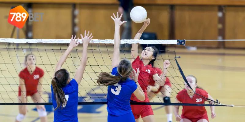 Cập nhật kết quả tin tức bóng chuyền nữ