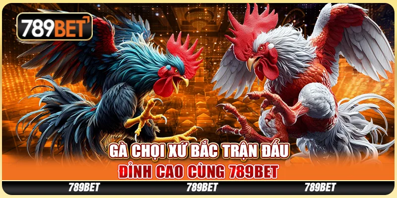 Gà Chọi Xứ Bắc Trận Đấu Đỉnh Cao Cùng 789BET