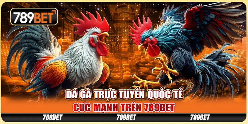 Đá Gà Trực Tuyến Quốc Tế Cực Mạnh Tại 789BET
