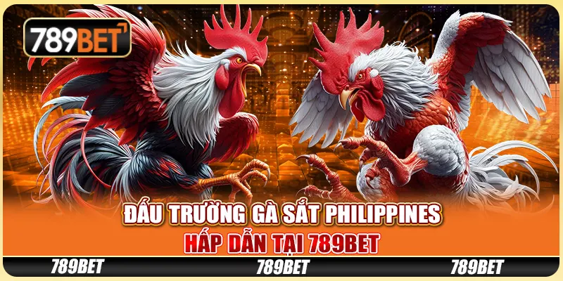 Đấu Trường Gà Sắt Philippines Hấp Dẫn Tại 789BET