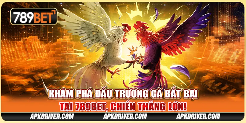Khám Phá Đấu Trường Gà Bất Bại Tại 789BET, Chiến Thắng Lớn! 1 Khám Phá Đấu Trường Gà Bất Bại Tại 789BET, Chiến Thắng Lớn!