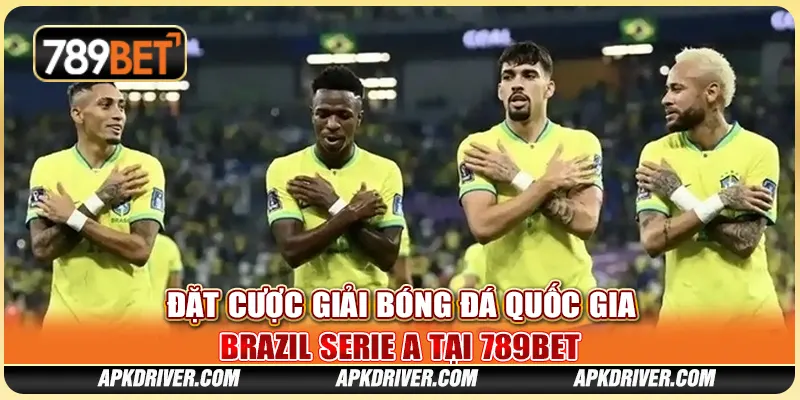 Đặt Cược Giải Bóng Đá Quốc Gia Brazil Serie A Tại 789BET