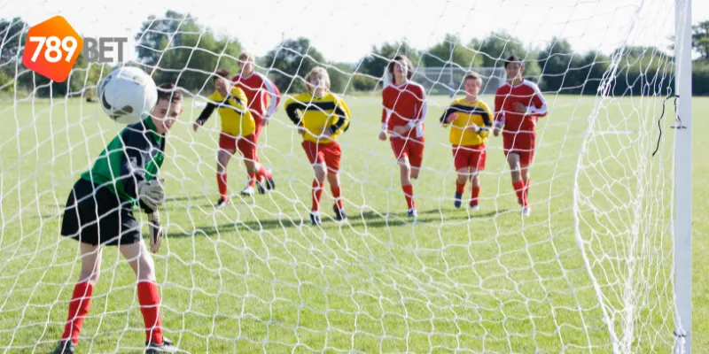 Lịch sử ghi bàn bóng đá của Ronaldo