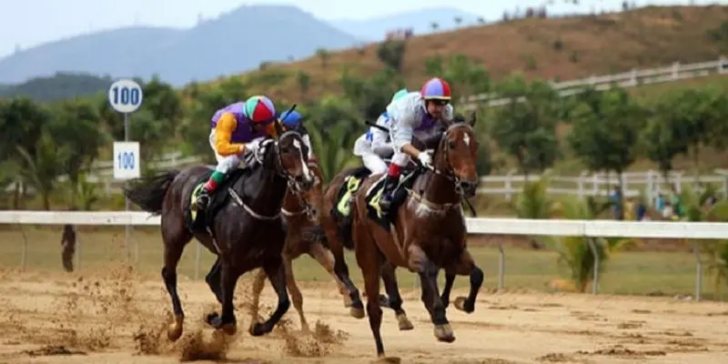 Hiểu lý do nên áp dụng mẹo chơi đua ngựa