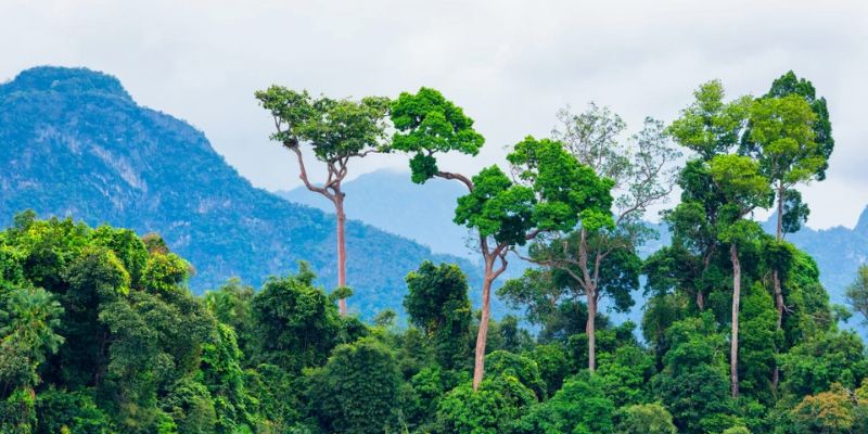 Đôi nét về trò chơi slot thú vị