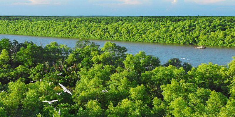 Trò chơi nổi bật với biểu tượng may mắn