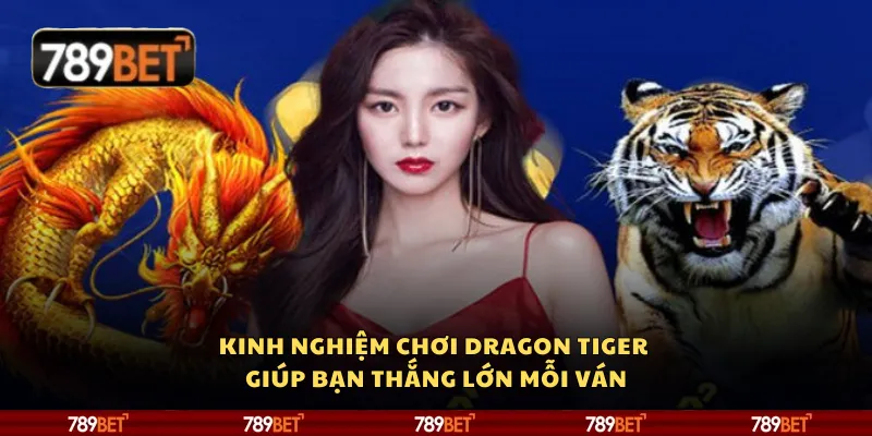 Kinh nghiệm chơi Dragon Tiger giúp bạn thắng lớn mỗi ván