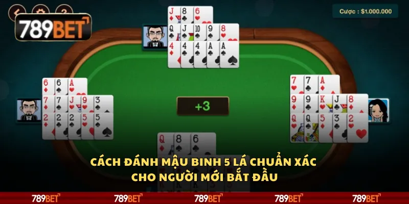 Cách đánh Mậu Binh 5 lá chuẩn xác cho người mới bắt đầu