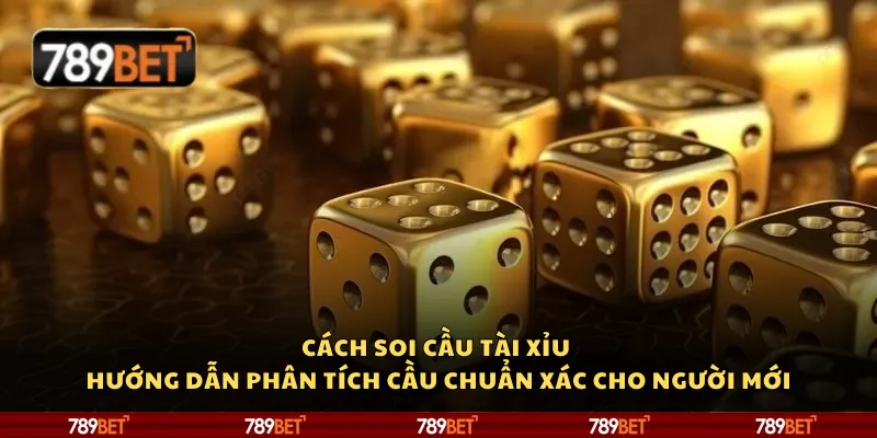 Cách soi cầu tài xỉu – Hướng dẫn phân tích cầu chuẩn xác cho người mới