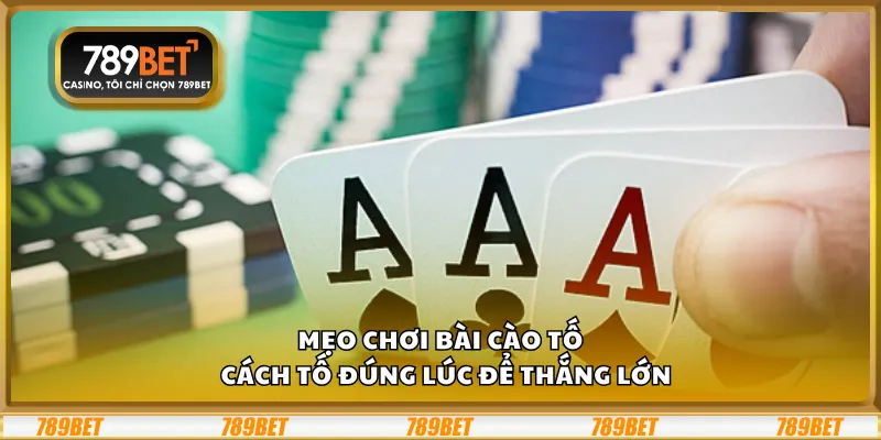 Mẹo chơi bài Cào Tố – Cách tố đúng lúc để thắng lớn 5 Mẹo chơi bài Cào Tố – Cách tố đúng lúc để thắng lớn
