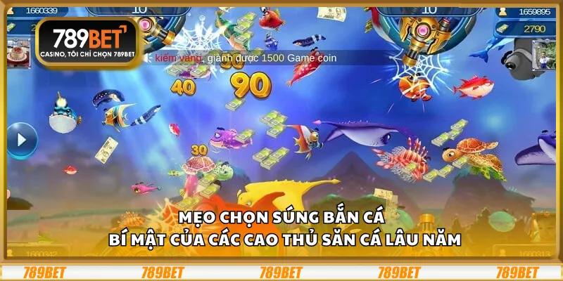 Mẹo chọn súng bắn cá – Bí mật của các cao thủ săn cá lâu năm 3 Mẹo chọn súng bắn cá – Bí mật của các cao thủ săn cá lâu năm